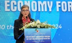 UNDP: 'Việt Nam cần cải cách thể chế để chuyển đổi xanh'