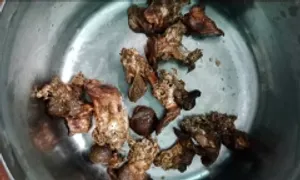 7 người ngộ độc sau ăn nấm lạ